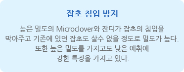 잡초 침입 방지 - 높은 밀도의 Microclover와 잔디가 잡초의 침입을 막아주고 기존에 있던 잡초도 살수 없을 정도로 밀도가 높다. 또한 높은 밀도를 가지고도 낮은 예취에 강한 특징을 가지고 있다.