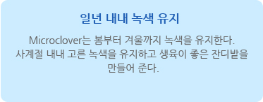 일년 내내 녹색 유지 - Microclover는 봄부터 겨울까지 녹색을 유지한다. 사계절 내내 고른 녹색을 유지하고 생육이 좋은 잔디밭을 만들어 준다.