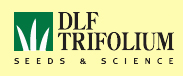 DLF TRIFOLIUM